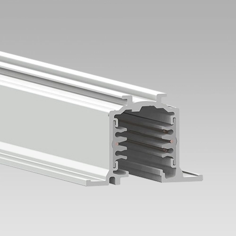 TRAC-line 220V - Electrified Dali TRAC-line 220V - recessed