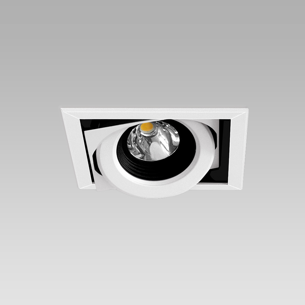 Ceiling recessed downlight for functional lighting of interiors, with adjustable spotlights - 1 spot version